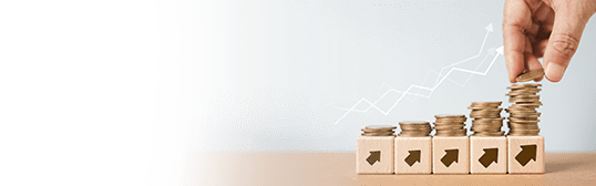 An overview of cash management, its working and importance An overview of cash management, its working and importance